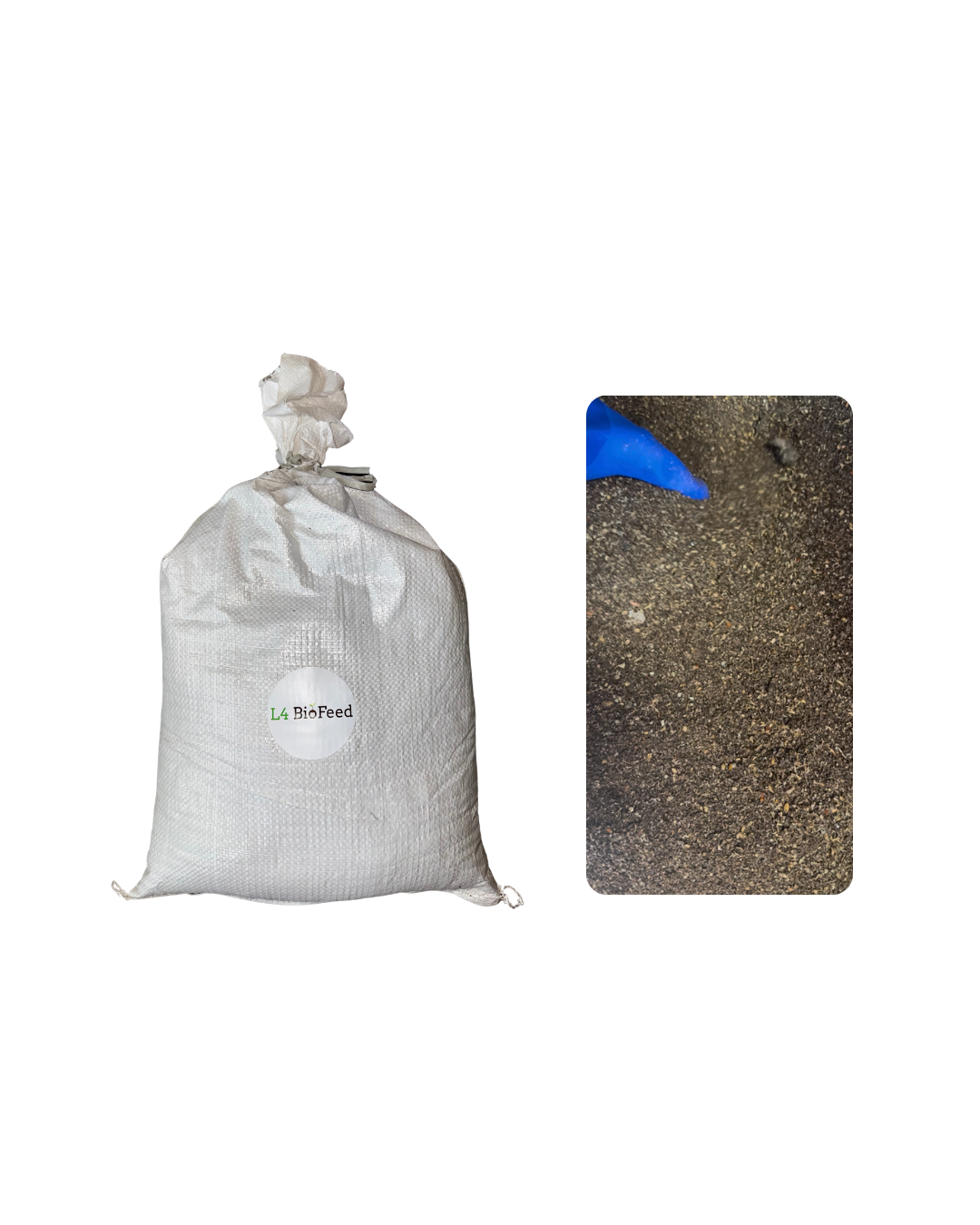 Organic BSFL Frass – Premium Soil Amendment